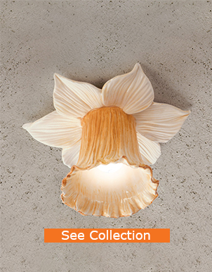 Narcis Cat photoshop